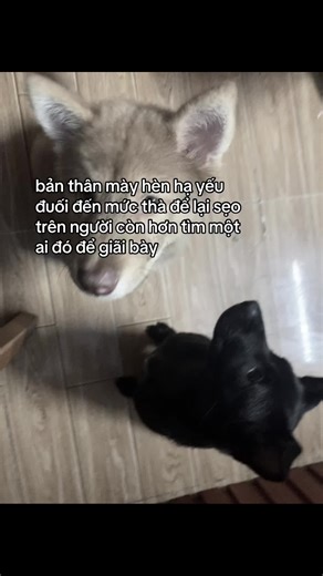 Video của lil linq 💫 (@lillinq_) với bản nhạc cannot get over you - requiem for you