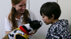 Therapy dogs are helping children with autism stay calm at the dentist's office