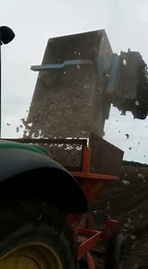 125K views · 211 reactions | Here are Meade, from Co. Meath, who supply us with Daffodil Bulbs that are in stores now! 5kg for €7.99, while stocks last! | Lidl Ireland | Facebook