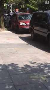 39K views · 191 reactions | NYPD officers found themselves chasing a...