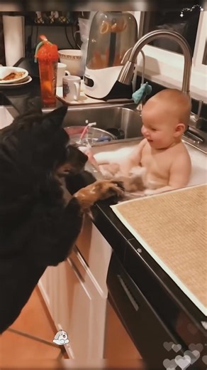 356K views · 14K reactions | Lovely hugs baby hug dog company fyp | Jun Desalet | Facebook