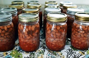 Canning Pinto Beans