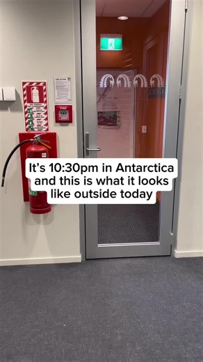 Explore Antarctica: Stunning Views and Fascinating Insights