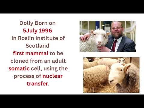 “The Secret Behind Dolly the Cloned Sheep | Full Explanation”
