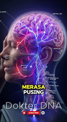 What Really Happens in Your Head When You Have a Headache?