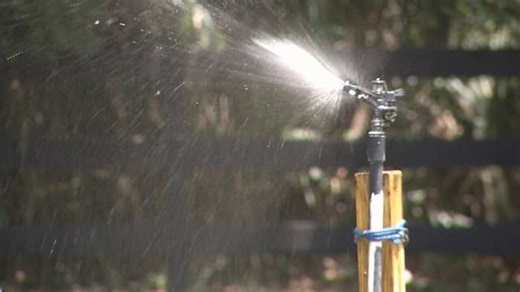 Duval County is under a Phase 1 water shortage due to dry conditions. Here’s what it means