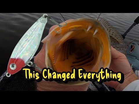 I Noticed the Pattern .... Then the Bite Exploded!