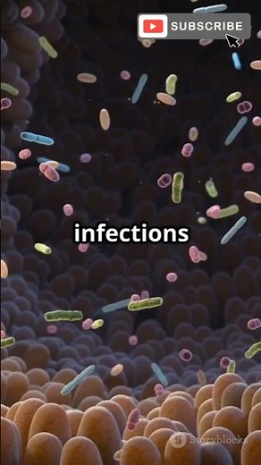 Lactobacillus acidophilus: Your Gut’s Best Friend!