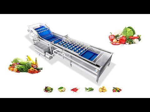 Fruit and vegetable washing machine work video introduction