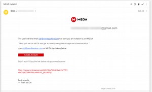 How Do I Open MEGA NZ Links? - What Box Game