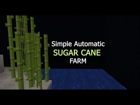 Simple Automatic Sugar Cane Farm for Minecraft Java 1.11 → 1.21.8