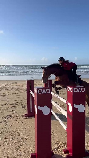 Discover the New CWD 2GS Mademoiselle Design