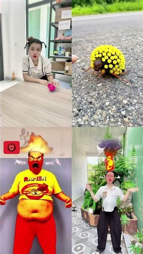 Title: Fire Belly & Rolling Bug Description🔥😠🐞