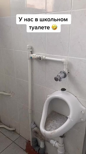 Bathroom Humor: A Comical Look at Toilet Woes