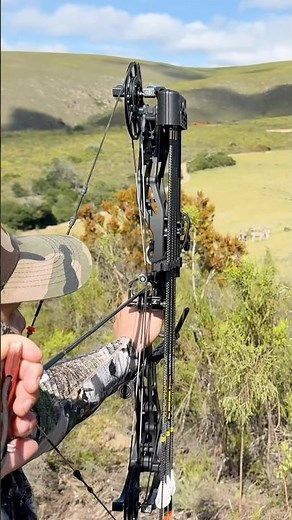 80 yard bow shot on a zebra!