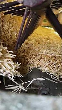 How To Make a Matchsticks | Factory Process