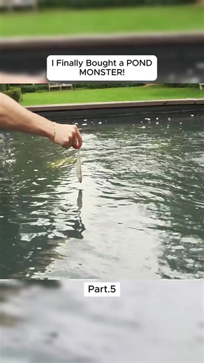 Fishing for Beginners: Tips and Tricks for Success