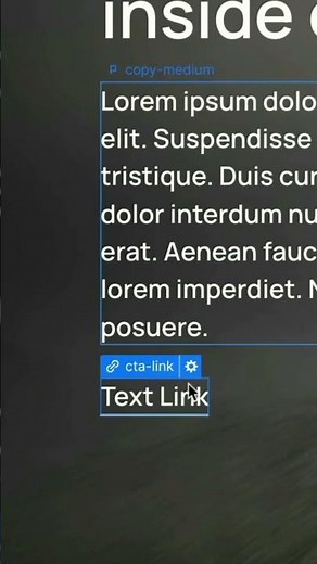 Webflow trick for text links with border underline