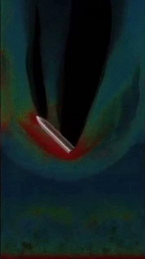 Starship belly flop explained