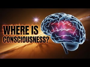 Quantum Consciousness Explained: How the Universal Mind Shapes Reality
