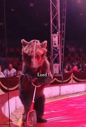 Tell my why we still have animals at circuses? It is animalabuse.#animals #viral#fyp