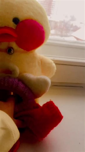 Plush Toy Adventures: Duck and Pikachu in Action