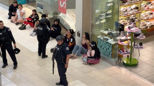 Swatting hoax at LA mall likely targeted well-known live streamers
