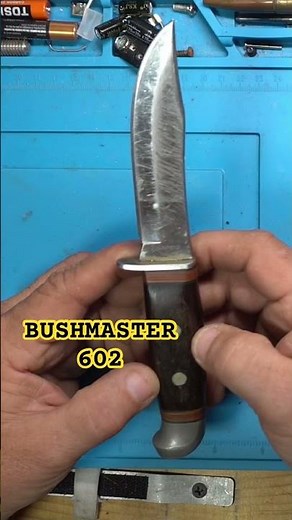 BUSHMASTER worth anything?