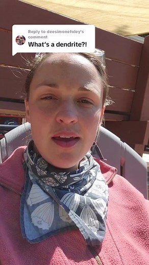 Replying to @deesimonefoley not sure why the captions won't work 😠 but the jist is that dendrites are impurities that cause inclusions in the agate while it's forming or through a crack. They can be happen from a variety of minerals (iron, copper, magnesium) getting in there and making different shapes. dendrites look like little tree branches floating in the agate! #rockhunting #rockhounding #whatisadendrite #dendriticagate #idaho #rocktok #rocksarecool