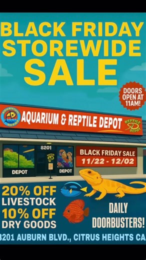 13 reactions · 3 comments |  BLACK FRIDAY SALE STARTS TODAY!!! Deals...