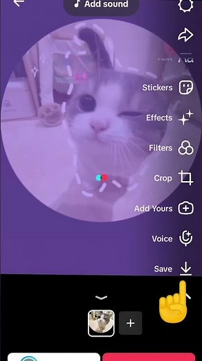 Tutorial for purple pfp💜