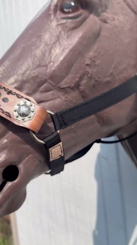 TIFFANY'S BRAIDED TACK Personalized Nylon Halter Black