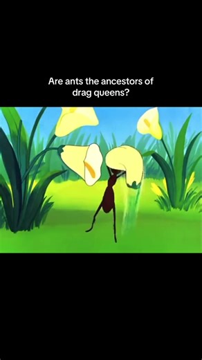 The Antics: Exploring Ants and Drag Queens Connection