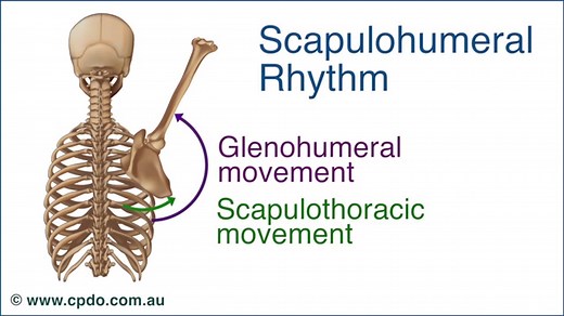 How to Increase Your Chin-Ups - Bret Contreras