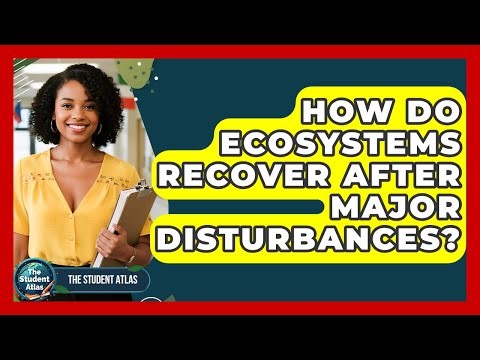 How Do Ecosystems Recover After Major Disturbances? - The Student Atlas