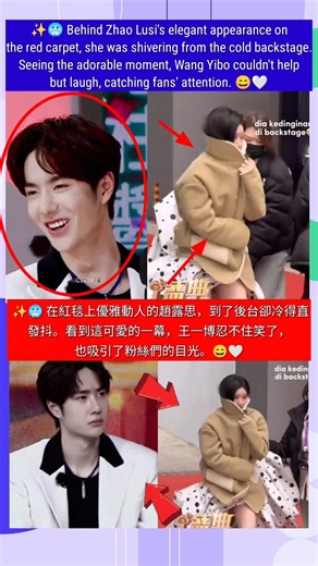 趙露思紅毯優雅亮相，王一博的笑容反應成為焦點 #zhaolusi #wangyibo