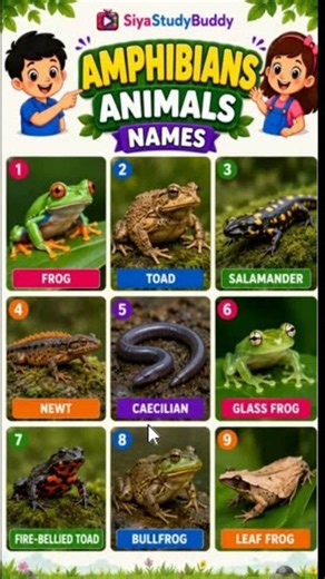Amphibians and reptiles। Amphibians name in English and Hindi। #ytshort #amphibian
