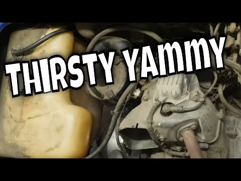 1996 Yamaha G14, Gas - Won't Start After Sitting Over Winter