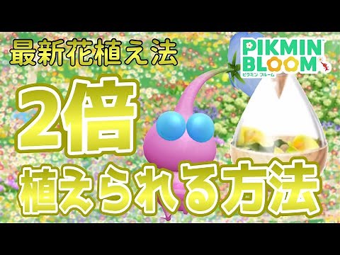 僕はこの方法しか使ってない！歩きなのに、少ない花びらで大量に花植えをする方法が凄すぎる！！【#ピクミンブルーム / #PikminBloom 】
