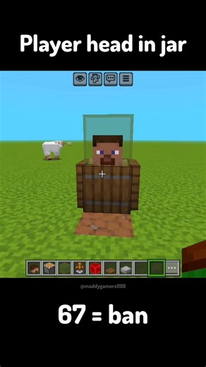 Player Head In A Jar #minecraft #steve