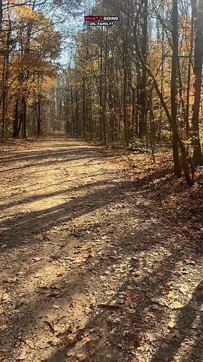 13 reactions | Issa book … | Leon Timbo | Facebook