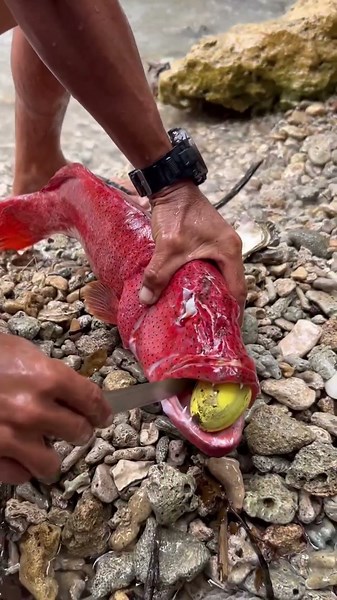 I Found an Orange Grouper… What a Catch! 😱🐟