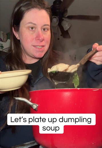 Dumpling soup recipe is posted! 🥟 #plateup #plateupwithme #dinner #dinnerideas #sahm