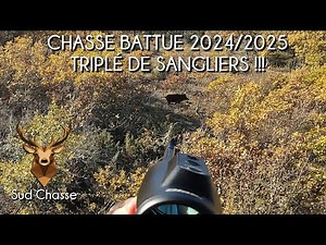 CHASSE BATTUE / 20 SANGLIERS AU POSTE AVEC TRIPLÉ DE SANGLIERS !!! 2024/2025