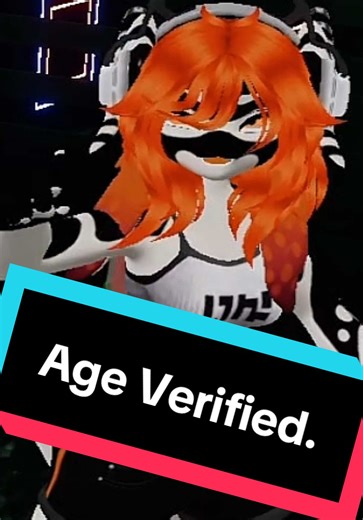 Understanding Age Verification in VRChat