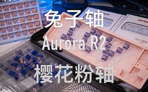 【龙门阵】开箱Aurora r2客制化套件机械键盘苍白粉轴兔子轴樱花粉轴Blossom轴佳达隆兔子卫星轴MV7麦克风打字音对比
