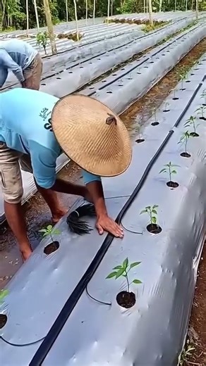 Food mix blending machine process #mix #machine #food