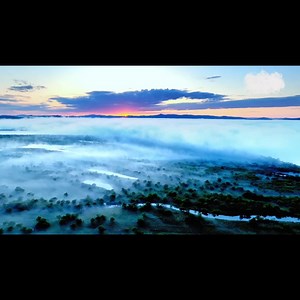 12 reactions | The Wusuli River National Wetland Park is shrouded in...