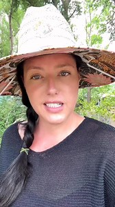 What plants to start from seed in your zone 9 garden in May 2025 Amaranth BeansCassava (from cuttings) Cherry Tomatoes CornCranberry Hibiscus and Sorrel Garden Huckleberries Gingers and Tumeric (from rhizomes) Herbs as companion plants Katuk Malabar Spinach Marigolds, Mexican Sunflower, and other flowers Cosmos and Zinnias, Borage, etc Okra Papaya Passion Fruit Peanuts Peppers Pigeon Peas Pumpkins-especially Seminole Pumpkins Southern Peas Squashes and Pumpkins Sunflowers Sweet Potatoes (from sl