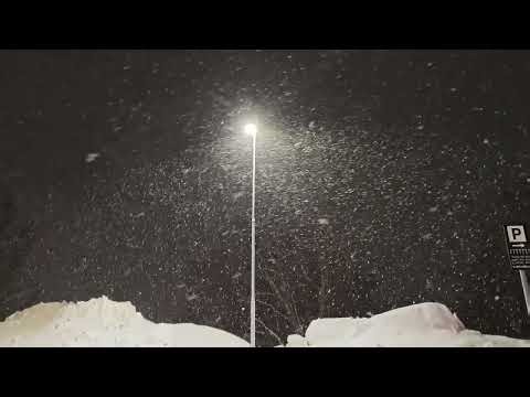 ❄️ 💃💃💃 ❄️A Magical Snowflake Dance #snowfall #whitewinter #snow #snowflakes #frost